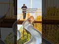 A Golden Retriever Addicted To Slides 🐶
