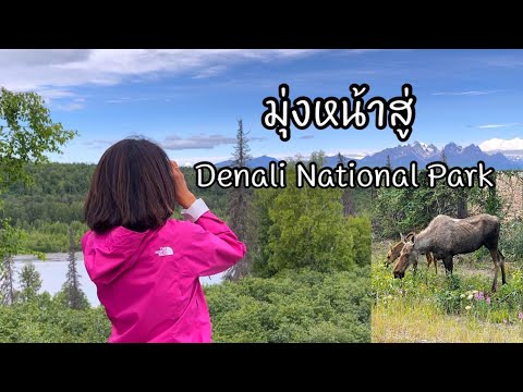 วีดีโอ: เวลาที่ดีที่สุดในการเยี่ยมชมอุทยานแห่งชาติเดนาลี