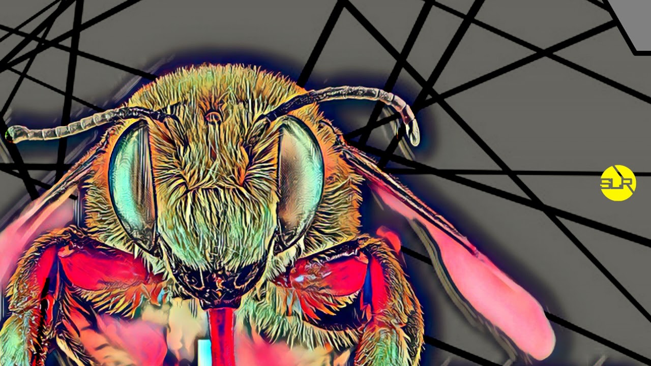 aardonyx - Heavy Weight Heart Feat. Emerie