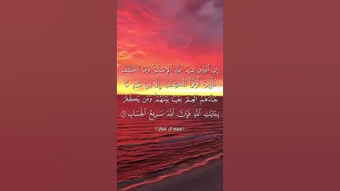 إِنَّ الدِّينَ عِنْدَ اللَّهِ الْإِسْلَامُ_ مرتل_ الآية 19_ آل عمران_ بصوت أبي المنتصر العشارة