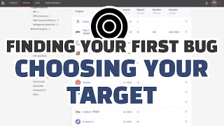 Finding Your First Bug: Choosing Your Target