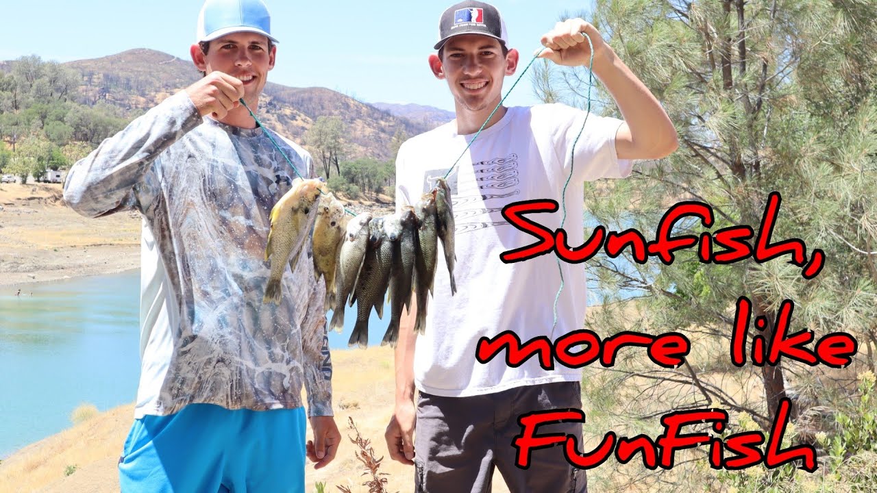 Slaying Fish at Lake Berryessa YouTube
