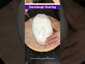 Simple Art of Sourdough Scoring [Fern Leaf] #youtubeshorts #sourdough #baking #simplerecipe