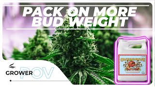 Grower POV: Sustain Peak Performance Through Your Entire Run