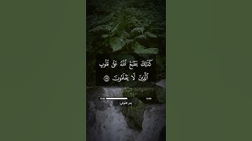 قرآن كريم | سورة الروم 58 - 60 | بدر التركي