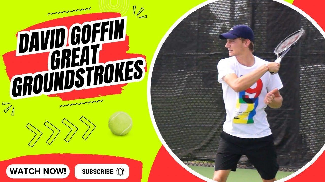 DAVID GOFFIN GREAT GROUNDSTROKES