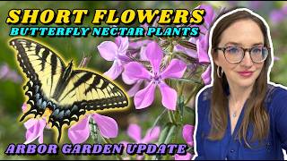 Short Native Wildflowers for Butterflies ~ Arbor Garden Update ~ East Tennessee~ Early April
