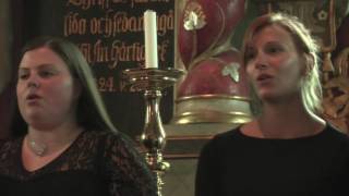 Download Lagu Stjärnorna MP3 Download Lagu Stjärnorna MP3