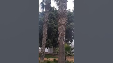 سورة الكهف جمعة مباركة