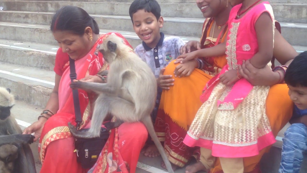 Banar to hai pyara / munna sarraf