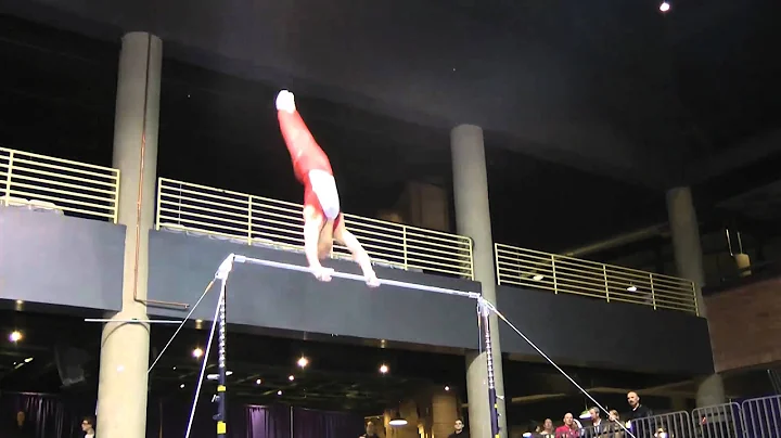 Dylan Akers - High Bar - 2011 Winter Cup Challenge...