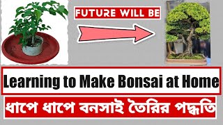 learning to make bonsai at home | ধাপে ধাপে বনসাই তৈরির পদ্ধতি | bonsaiforestbd