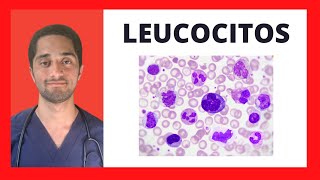 LEUCOCITOS | HEMATOLOGÍA