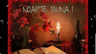 NOAPTE.BUNA