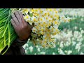 میلاد امام زمان جمال طباطبایی 