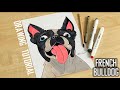 How to draw a French bulldog cute