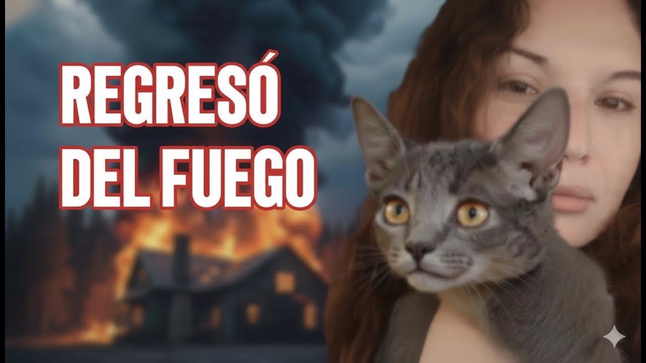💫 SU GATA MURIÓ en un incendio pero VOLVIÓ y la RECONOCIÓ