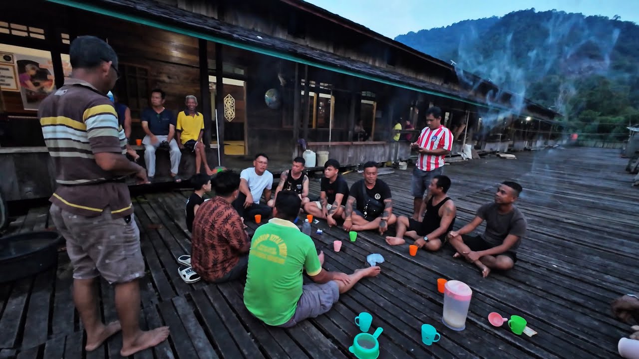 CARI IJOK DI KAMPUNG EMBALOH NAIK TANGGA SEBATANG BULUH // IJOK FRESH LEMAK RASA SANTAN //