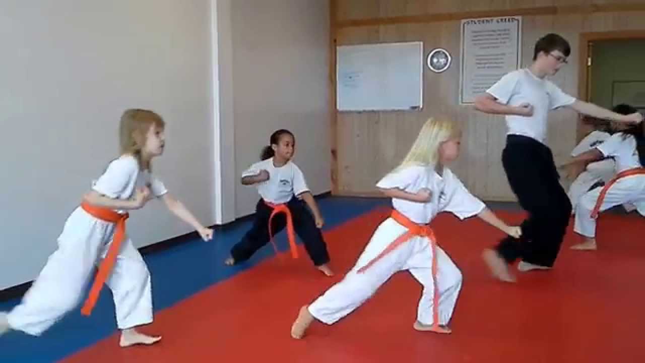 Hampton's Karate Academy - Basic Forms Instruction 01