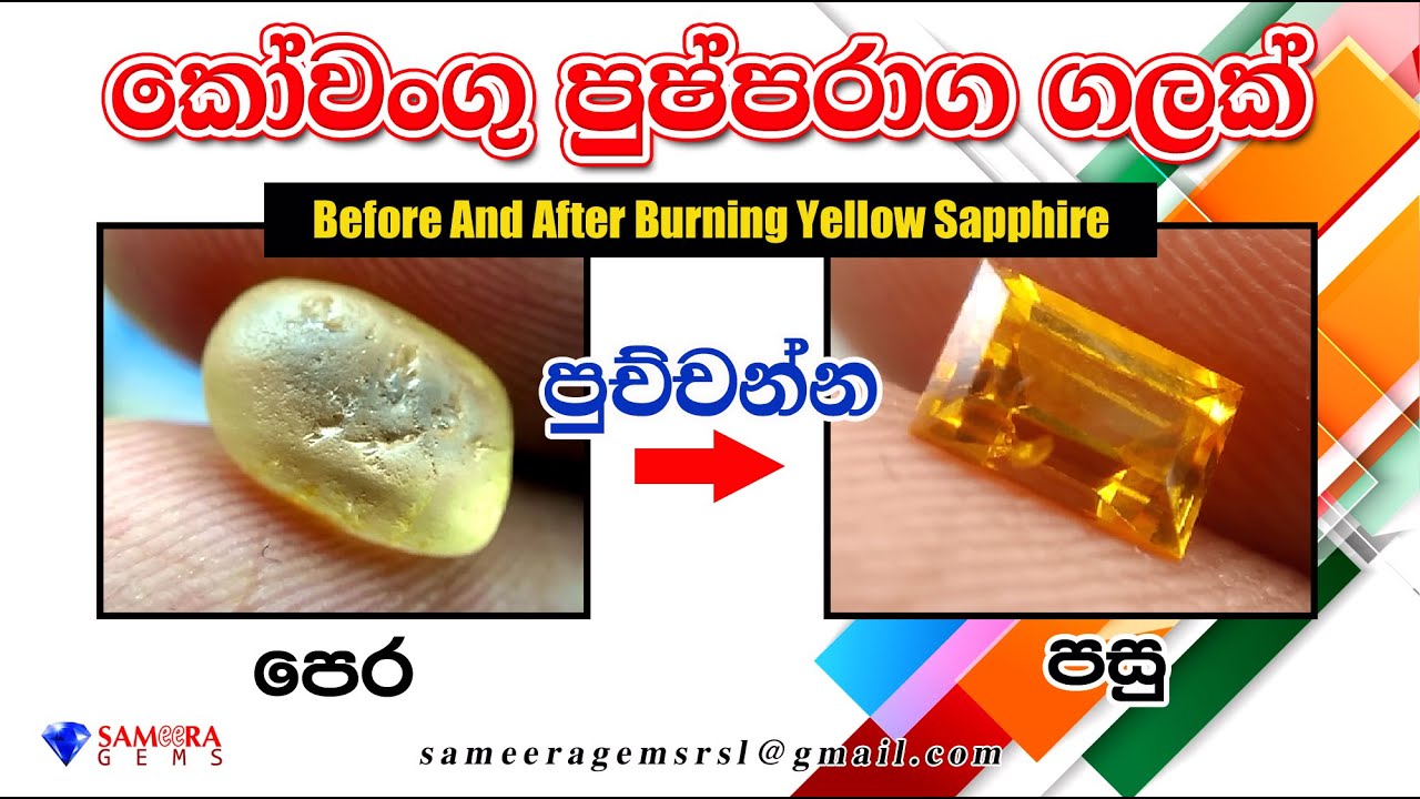 කෝවංගු පුෂ්පරාග පුච්චන්න පෙර සහ පසු | BEFORE AND AFTER BURNING YELLOW SAPPHIRE | SAMEERA GEMS