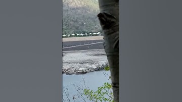 statue of unity sardar Vallabhbhai Patel new video #statueofunity #sardarvallabhbhaipatel #shorts