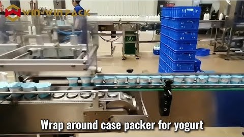 WIN-WIN PACK Yogurt Wrap Around Case Packer: Detailed Workflow Explanation/Case Packer/Packaging
