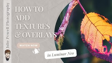 How to add Textures and Overlays in Luminar Neo