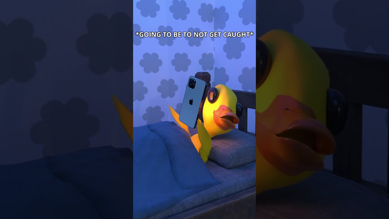 VIDEO GAMES AT 3AM Humor Homealone Babyduck