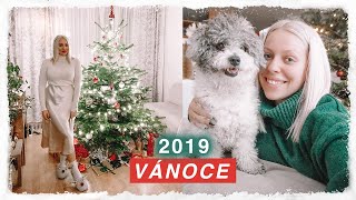 MŮJ ŠTĚDRÝ DEN 2019 🎄VÁNOCE S ANY