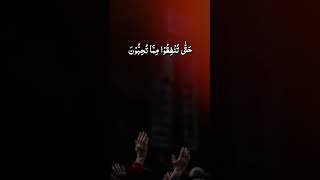 Islamic vibes ❤️ #views_viral #islamicvideo #allahhuakbar #allah #islamicgreeting