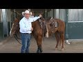 How to choose a saddle pad with ken mcnabb
