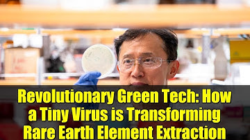 Revolutionary Green Tech: How a Tiny Virus is Transforming Rare Earth Element Extraction