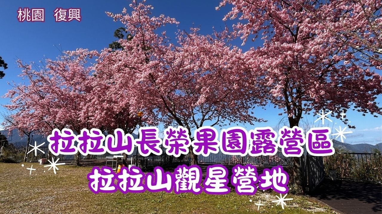 2026 - 3 桃園 復興 拉拉山長榮果園露營區 & 拉拉山觀星營地 🌸 櫻花開