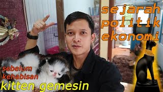 'gerebek kandang' KITTEN LUCU YA DI SINI TEMPATNYA .