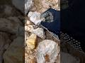 I found a round stone, when I broke it there was treasure inside #stone #broke #treasure #gemstone