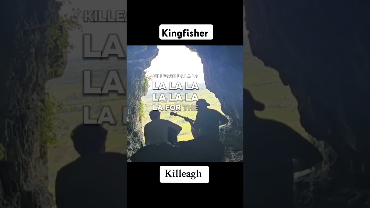 killeagh - Kingfisher 