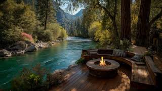 Forest Tide Serenity • Crystal River Serenity 🌿 | Cozy Summer Porch Ambience & Nature Sounds