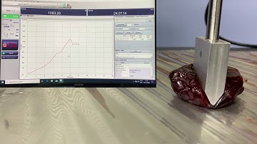 Texture Analysis - Dates - Shimadzu Autograph AGSX Universal Testing Machine