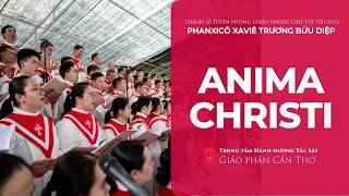 Anima Christi (Lạy Linh Hồn Chúa Kitô) | #Thánhlễ Tuyên phong Chân phước cho cha #FXTrươngBửuDiệp