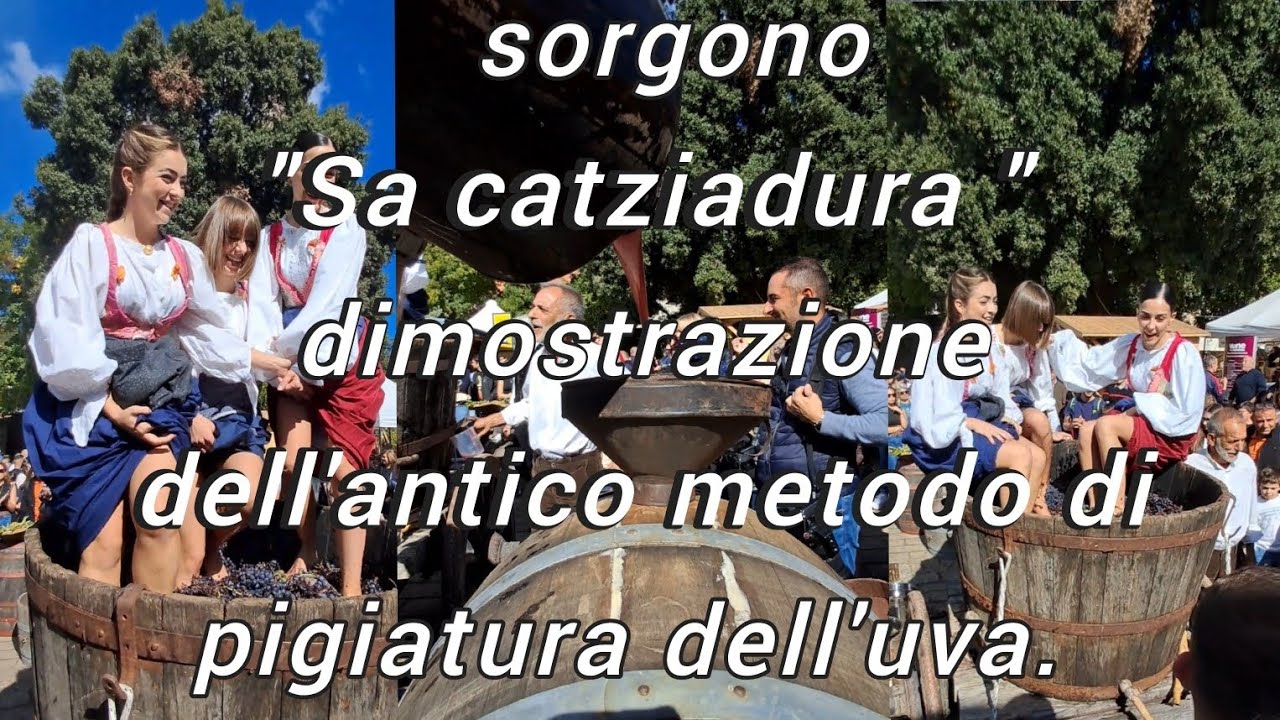 Sorgono #2025 