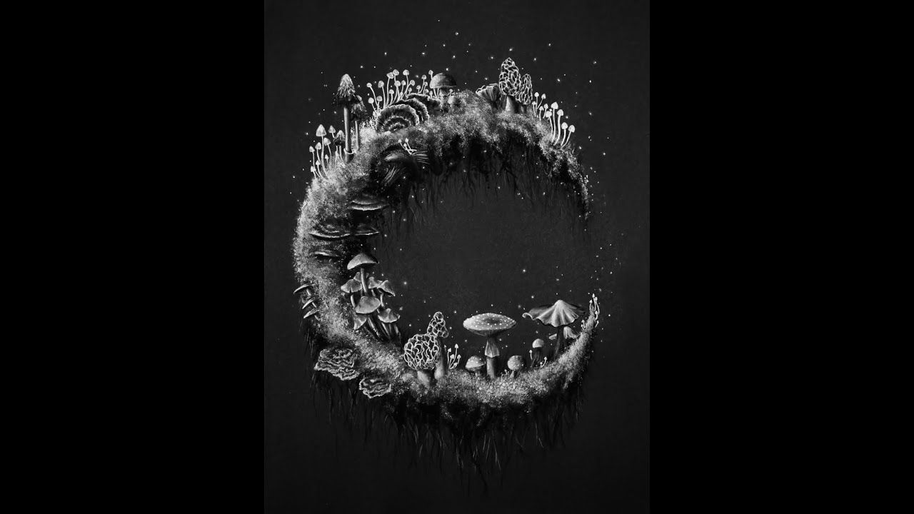 Moon Mushrooms Art Time Lapse YouTube