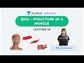 L46: QUIZ- Structure of a Muscle | Human Physiology (Pre-Medical: NEET/AIIMS) | Ritu Rattewal