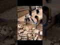 Mazdoor Ki Mehnat 😲 Brick Pathway Flooring Work | Desi Manual Construction