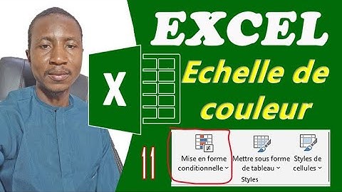 EXCEL PARTIE 11: Comment appliquer une échelle de couleur (mise en forme conditionnelle) [2]