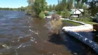 North Platte River in Saratoga, WY, June 6, 2011