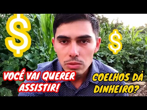 Vídeo: Como Vender Um Coelho