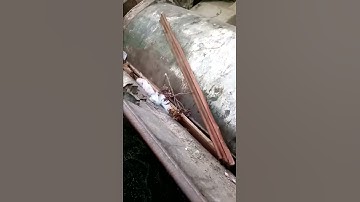 Robert wood Pallette of autumn original painting crushed appreciation