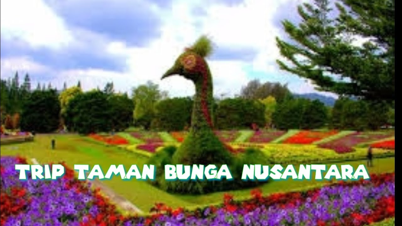 Trip Taman Bunga Nusantara YouTube 