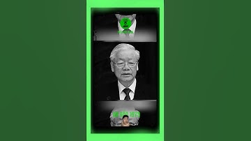 TIN BUỒN: TỔNG BÍ THƯ NGUYỄN PHÚ TRỌNG ĐÃ TỪ TRẦN… #bảocóc #tintuc #bảocócvlog #theanh28 #shorts #xh