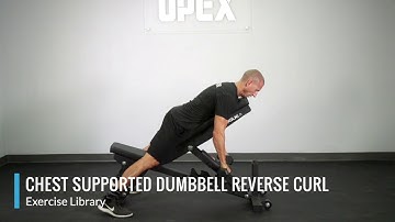 Chest Supported Dumbbell Reverse Curl - OPEX Exercise Library